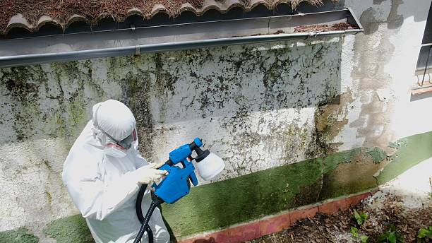 Top rated local Attic Mold Remediation specialists in Knoxville, MD